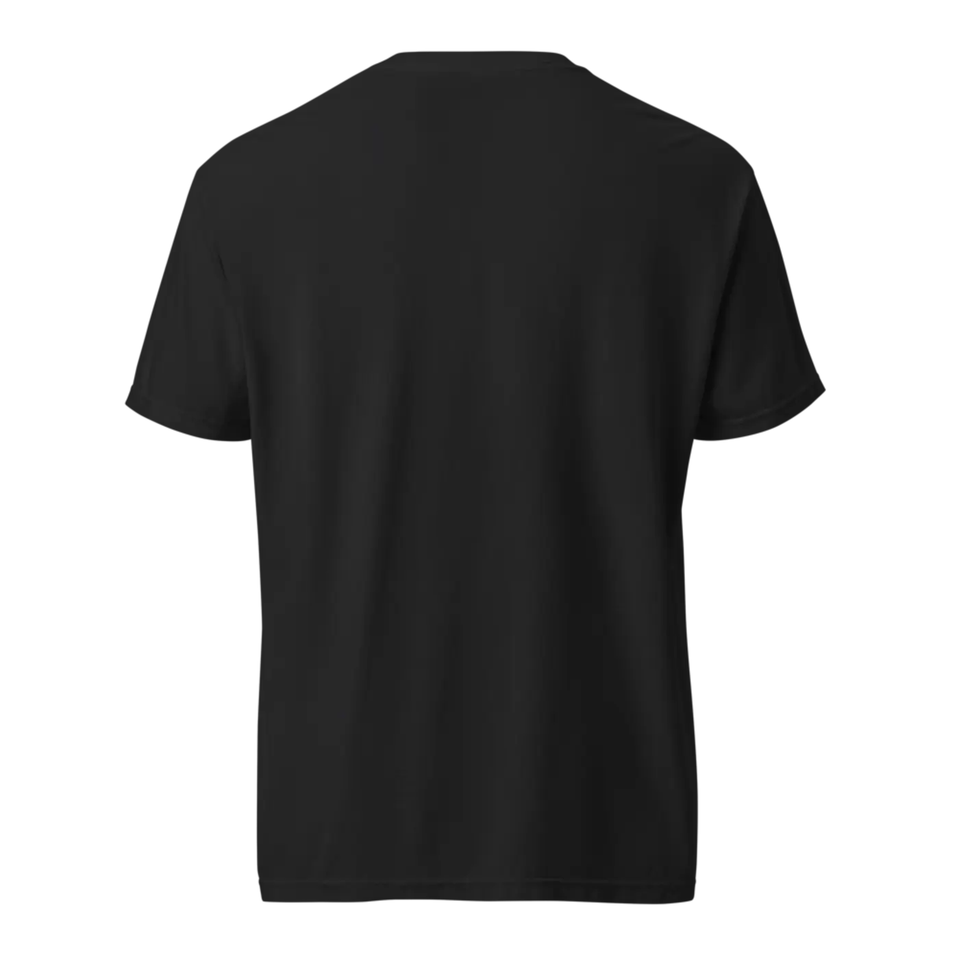 The back of the same black t-shirt, unprinted.